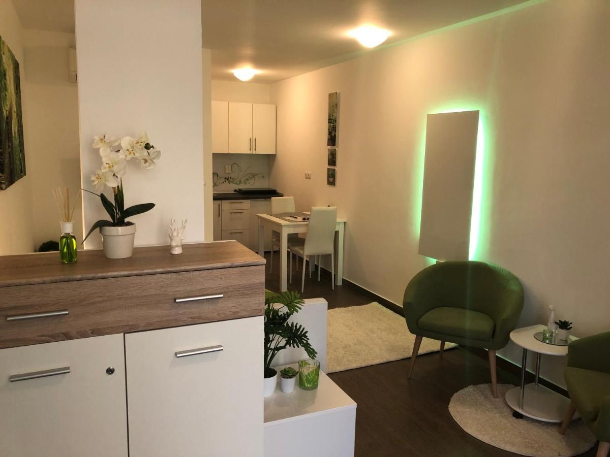 Apartament Luxury Central Studio Under The Castle Lublana Zewnętrze zdjęcie