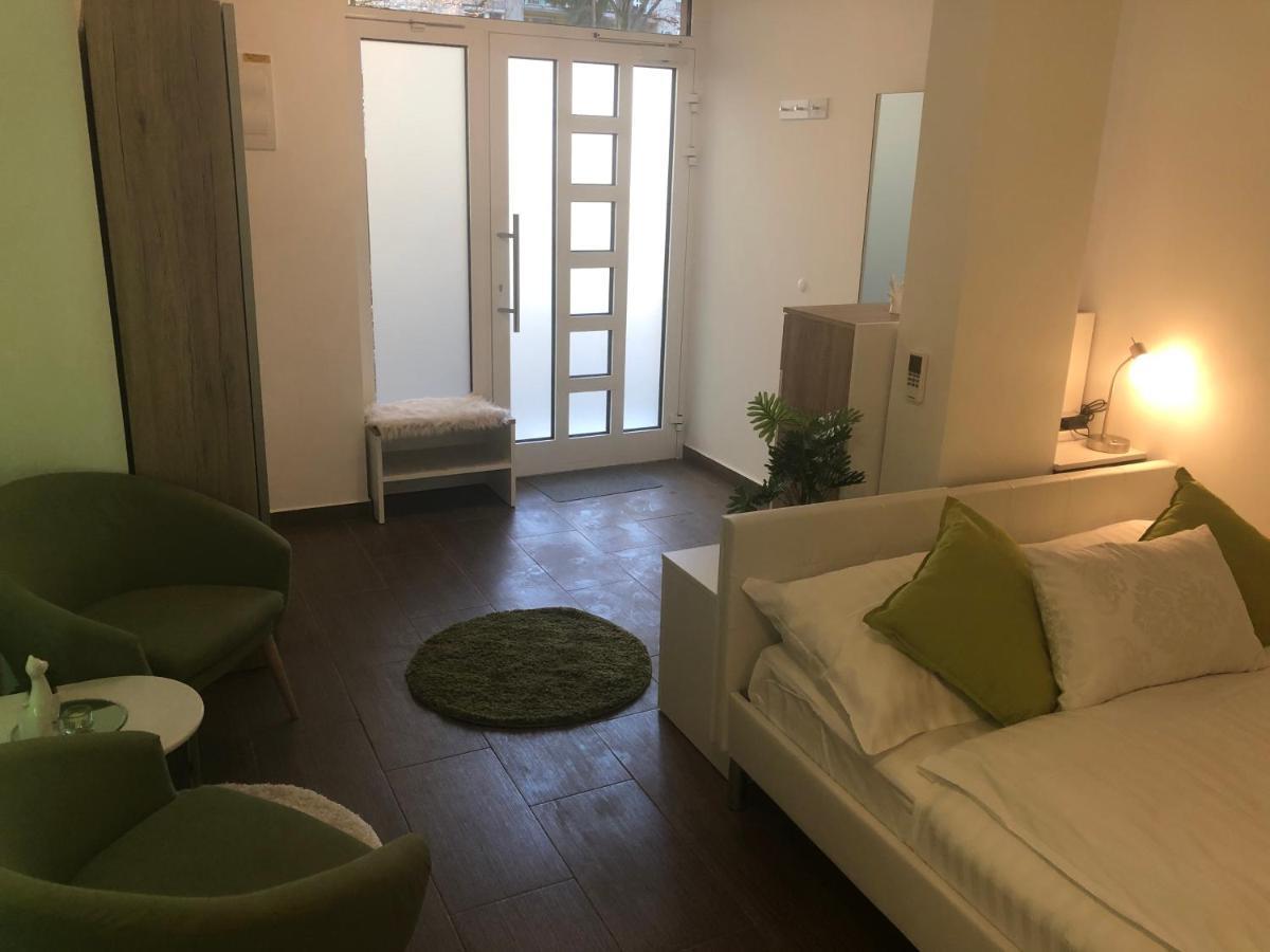 Apartament Luxury Central Studio Under The Castle Lublana Zewnętrze zdjęcie